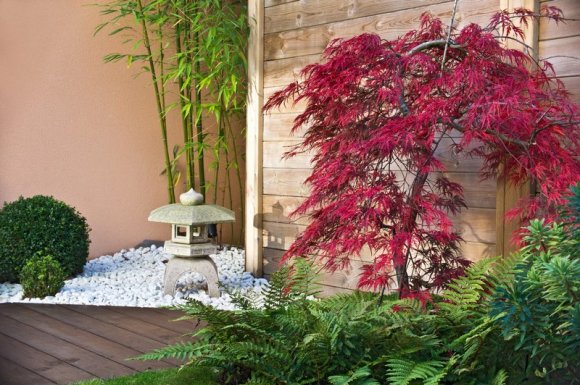 Paysagiste professionnel pour la création d'un petit jardin zen japonais Les Sables-d’Olonne